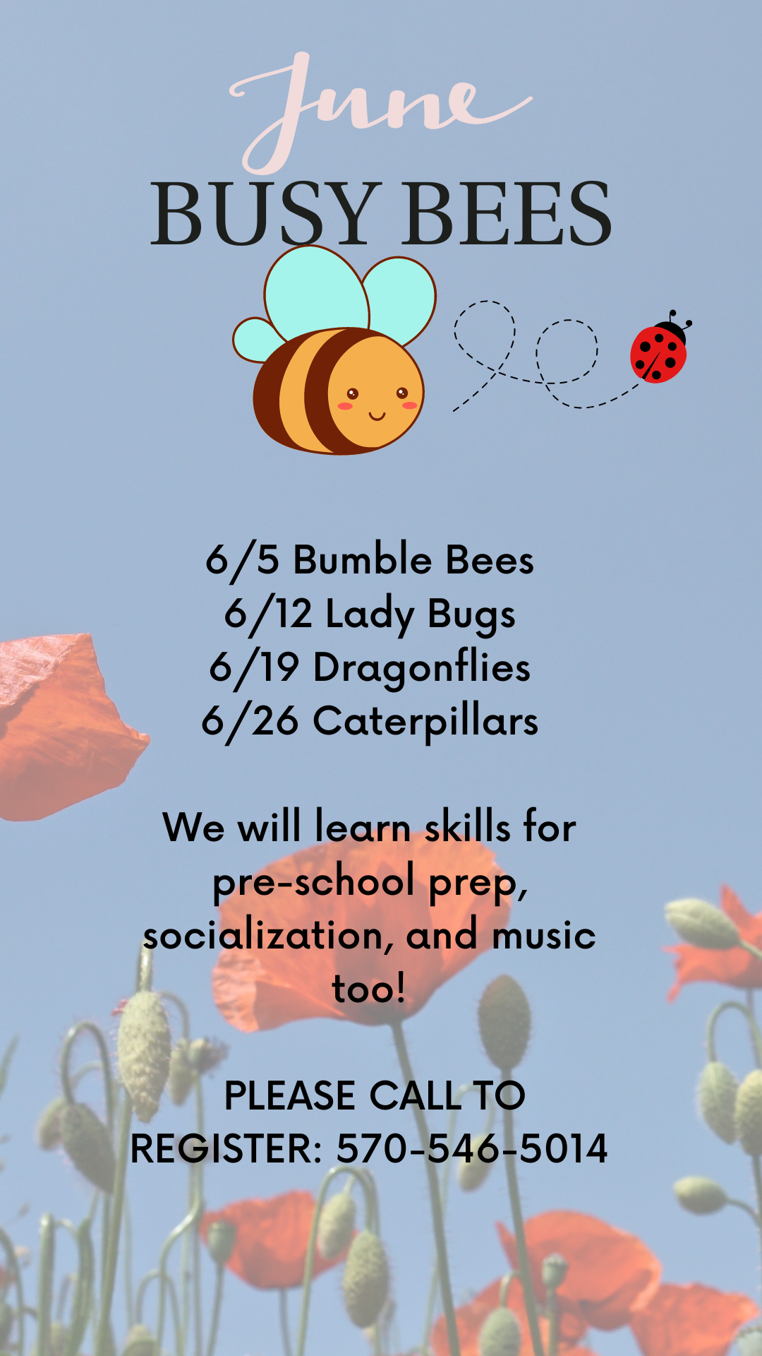 Read more about the article Busy Bees